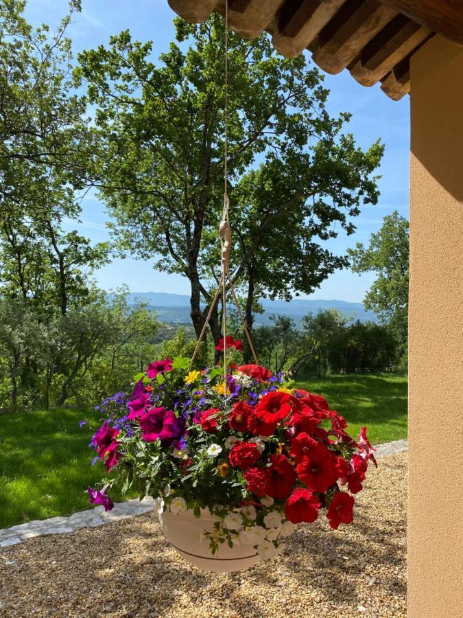 Chante Coucou Saint-Saturnin-d'Apt Bagian luar foto